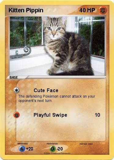 Pokemon Kitten Pippin
