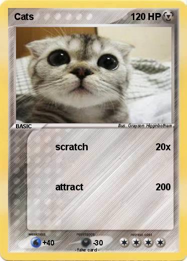 Pokemon Cats