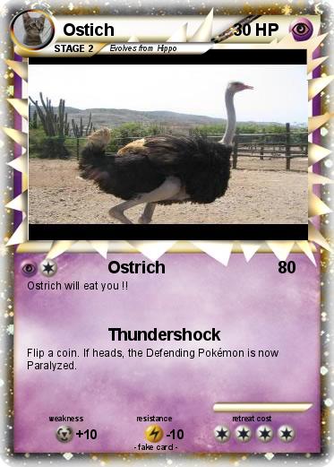 Pokemon Ostich