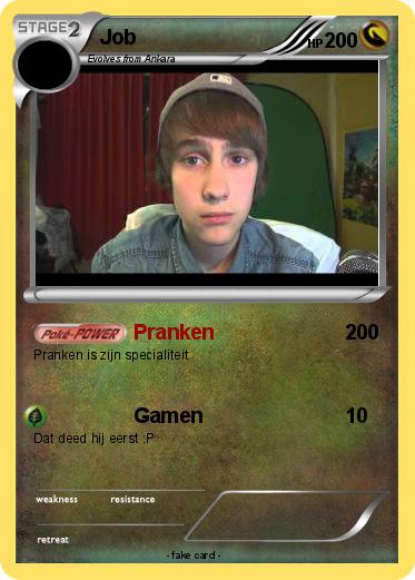 Pokemon Job