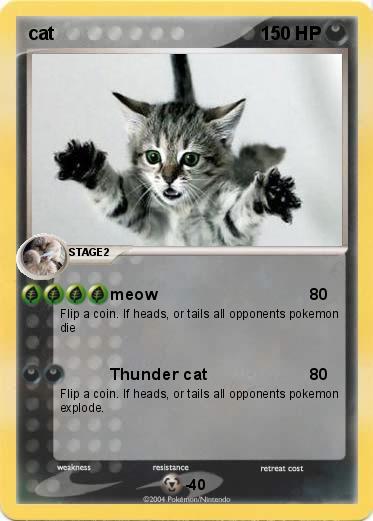 Pokemon cat