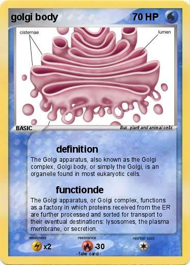 Pokemon golgi body