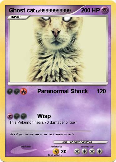 Pokemon Ghost cat