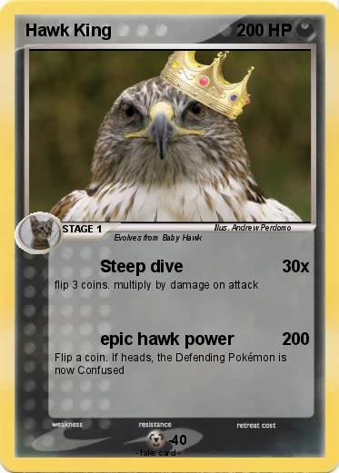 Pokemon Hawk King
