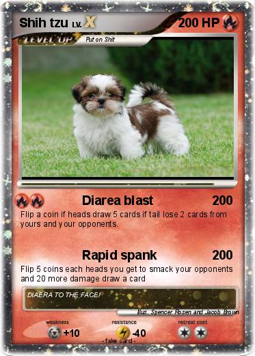 Pokemon Shih tzu