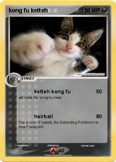 Pokemon kong fu ketteh