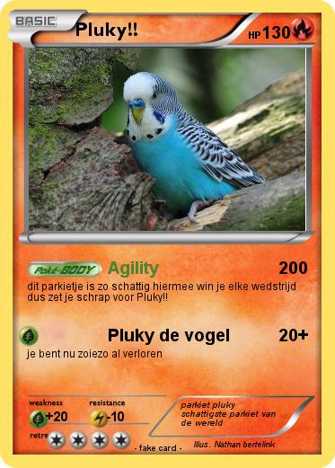 Pokemon Pluky!!