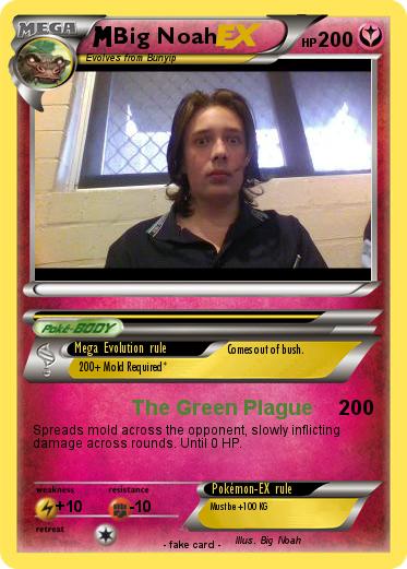 Pokemon Big Noah