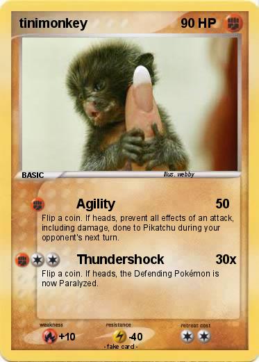 Pokemon tinimonkey