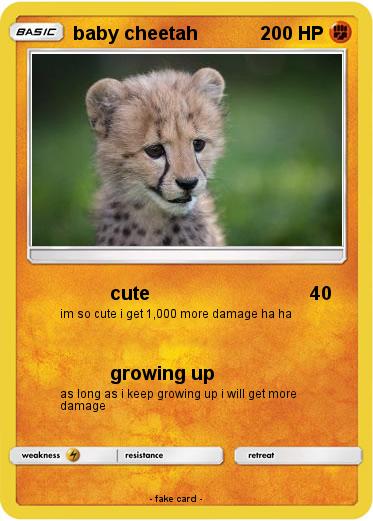 Pokemon baby cheetah