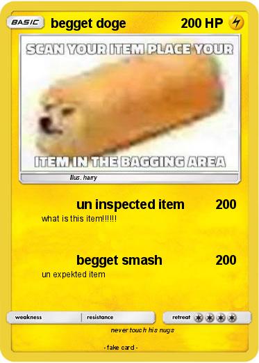 Pokemon begget doge