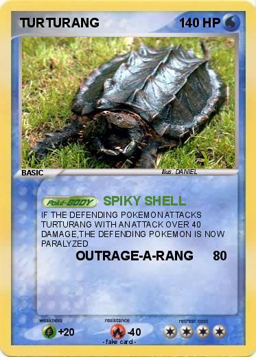 Pokemon TURTURANG