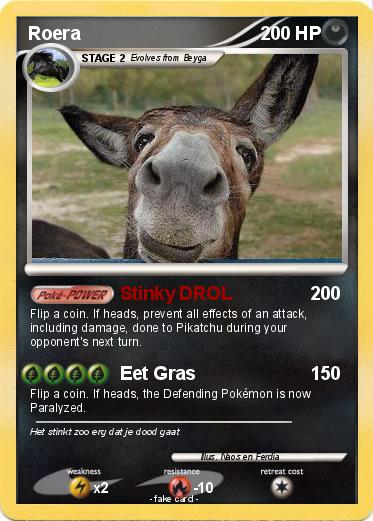 Pokemon Roera