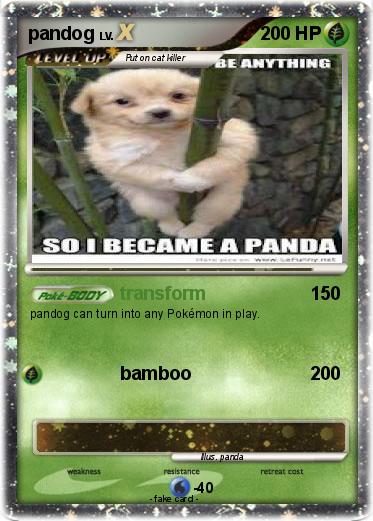 Pokemon pandog
