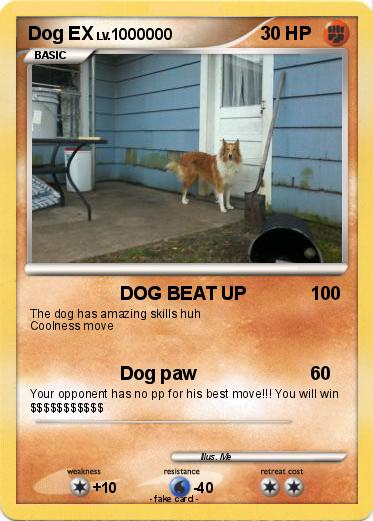 Pokemon Dog EX