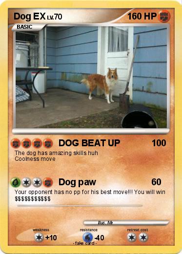 Pokemon Dog EX