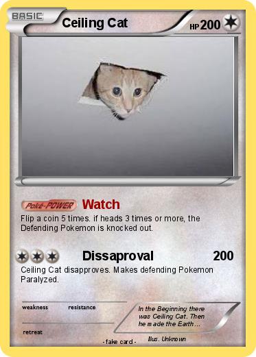 Pokemon Ceiling Cat