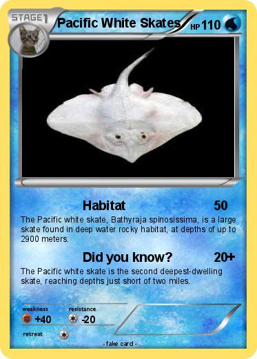 Pokemon Pacific White Skates