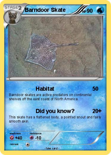 Pokemon Barndoor Skate