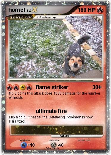 Pokemon hornet