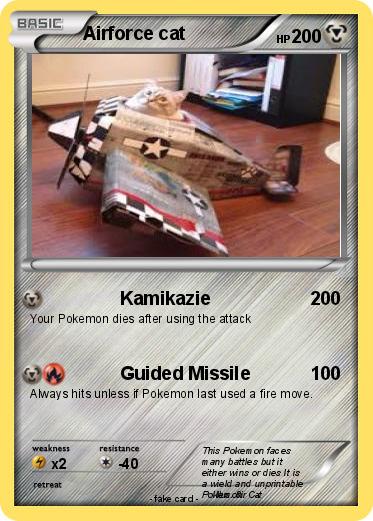 Pokemon Airforce cat