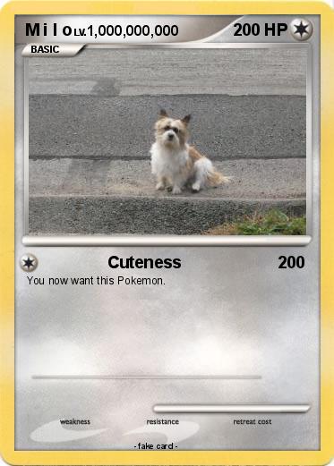Pokemon M i l o