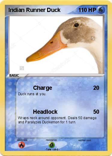 Pokemon Indian Runner Duck