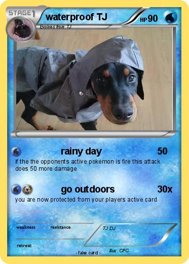 Pokemon waterproof TJ