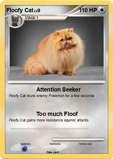 Pokemon Floofy Cat