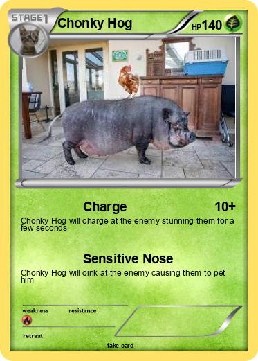 Pokemon Chonky Hog