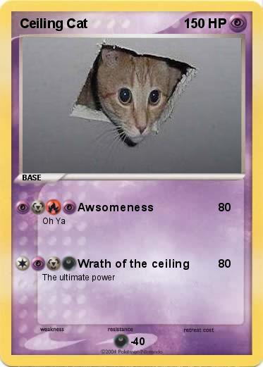 Pokemon Ceiling Cat