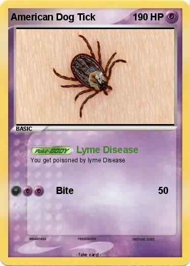 Pokemon American Dog Tick