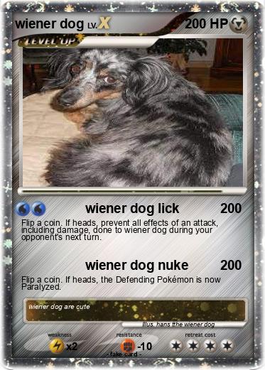 Pokemon wiener dog