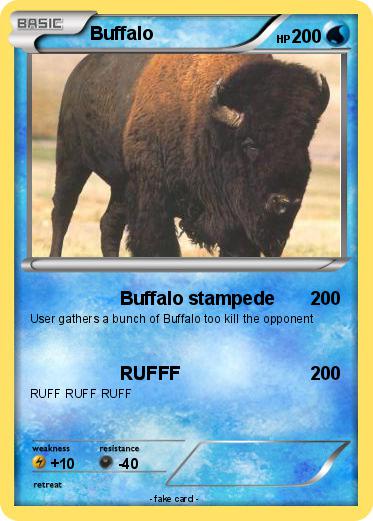 Pokemon Buffalo