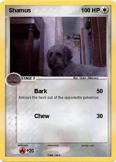 Pokemon Shamus