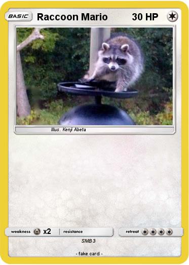 Pokemon Raccoon Mario