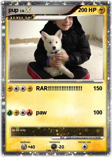 Pokemon pup