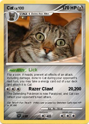 Pokemon Cat