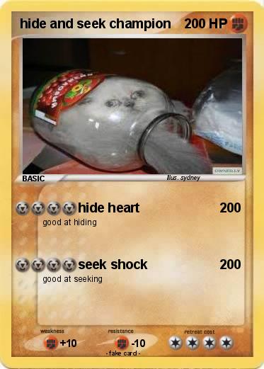 Pokemon hide and seek champion