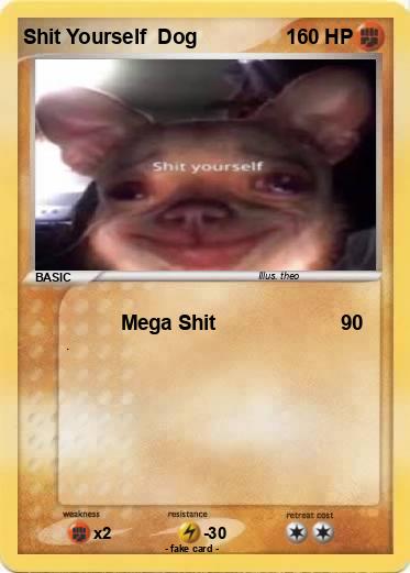 Pokemon Shit Yourself  Dog