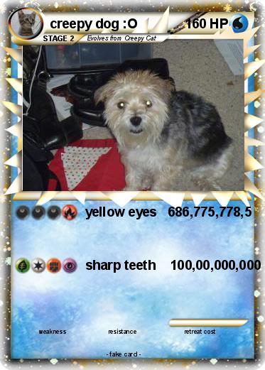 Pokemon creepy dog :O
