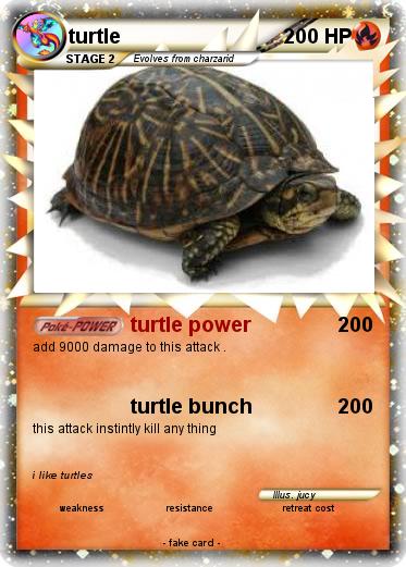 Pokemon turtle