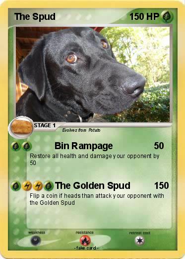 Pokemon The Spud