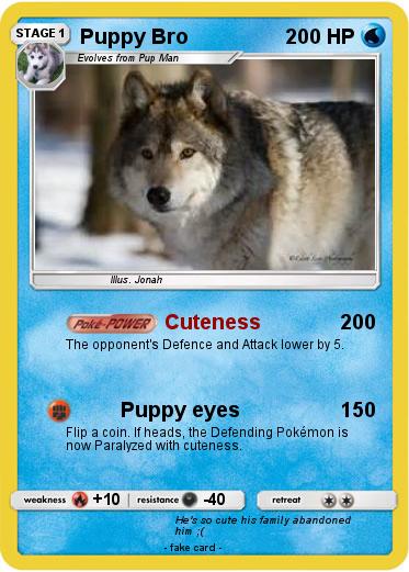 Pokemon Puppy Bro