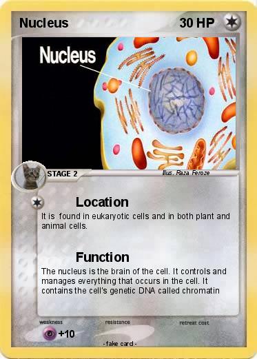 Pokemon Nucleus