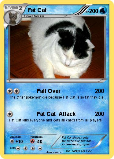 Pokemon Fat Cat
