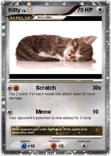 Pokemon Kitty