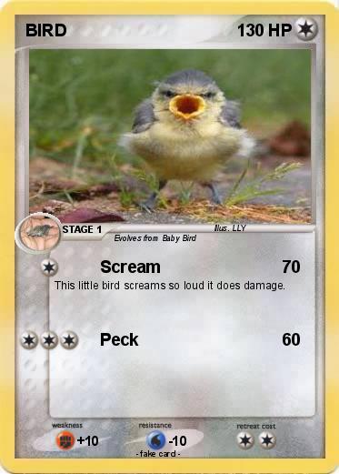 Pokemon BIRD