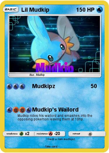 Pokemon Lil Mudkip