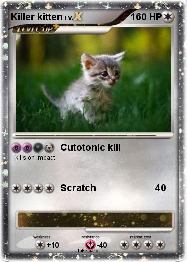 Pokemon Killer kitten